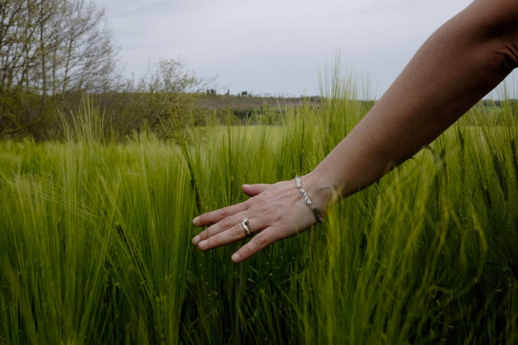 matrimonio eco sostenibile